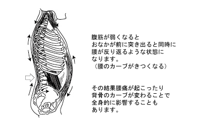 腹筋